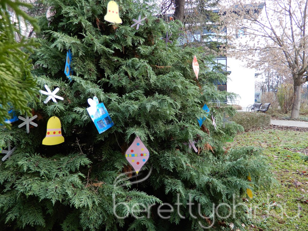 Fenyődíszítés a kórházban 28